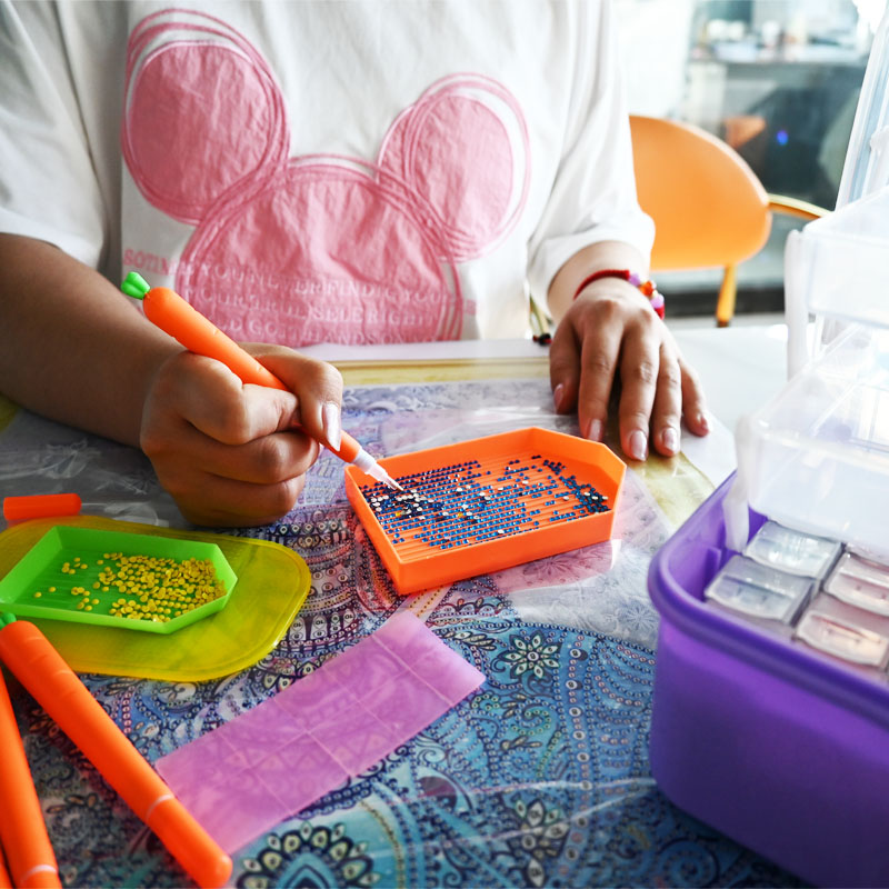 Diamond Embroidery Tools Carro - Embroidery Handicraft 리뷰 및 가격