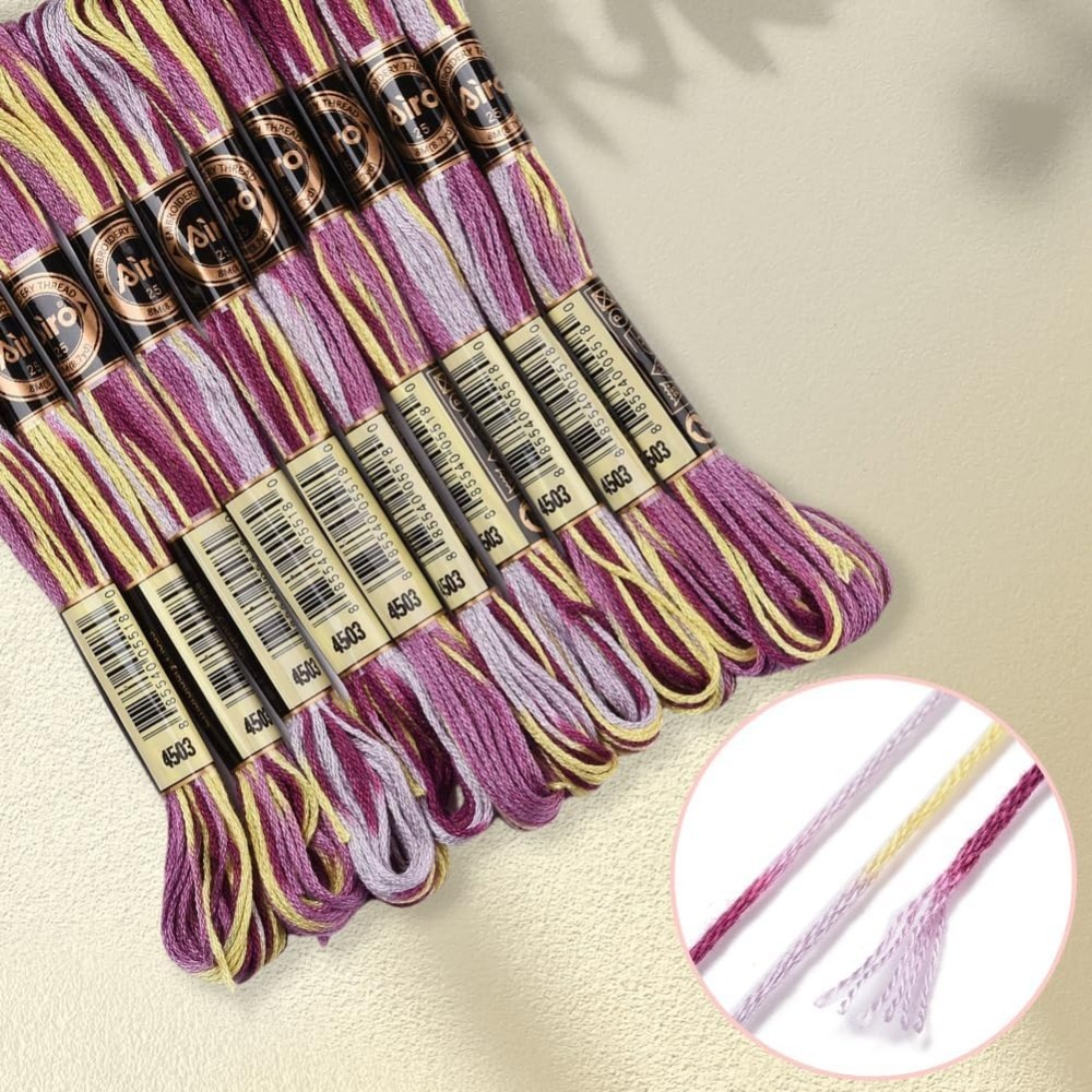 6 Strands Purple Variegated Em - Embroidery Threads 리뷰 및 가격