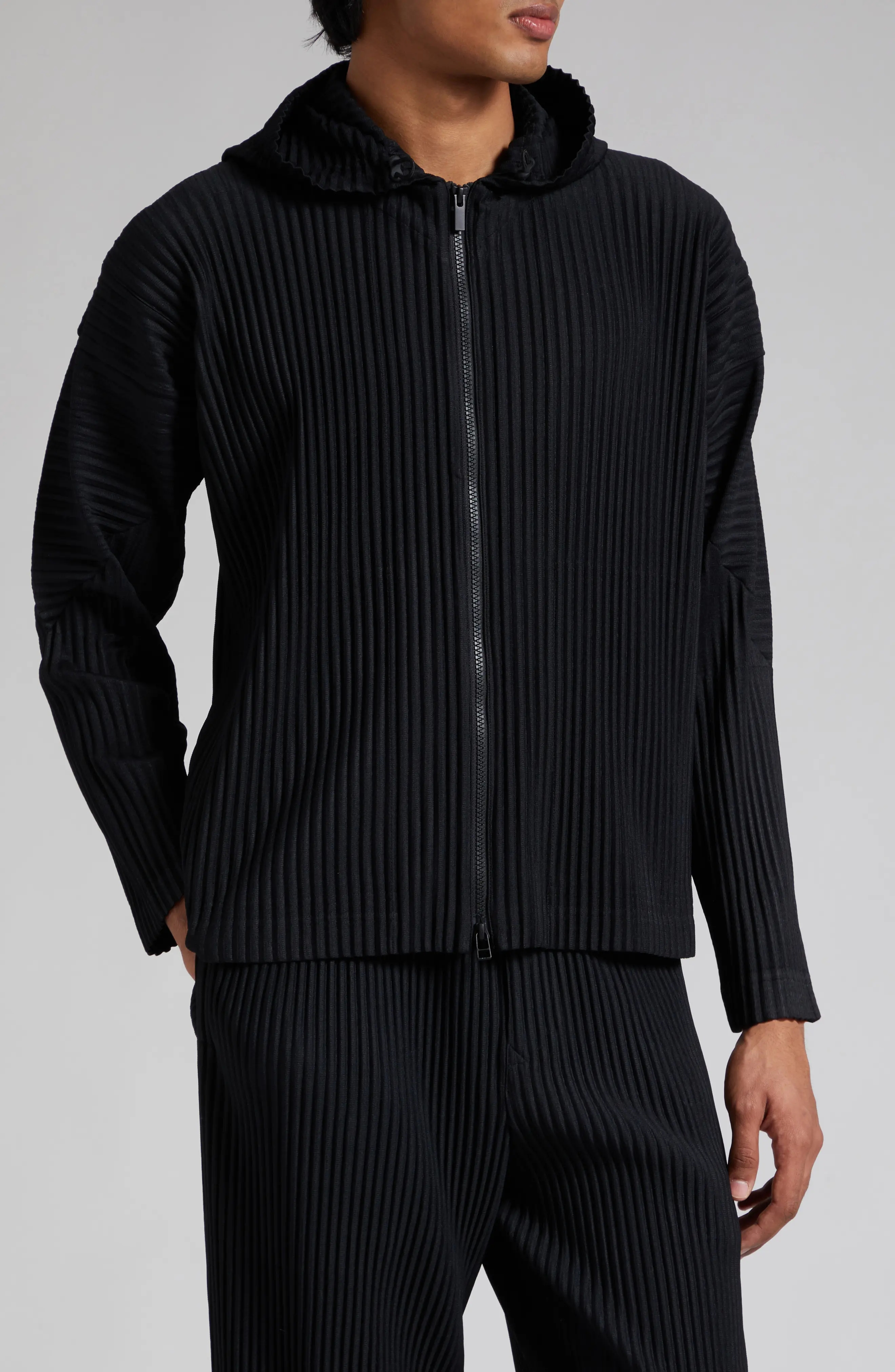 Miyake Pleated Men Zip-up Plis - Embroidery Zip Up Hoodie 리뷰 및 가격